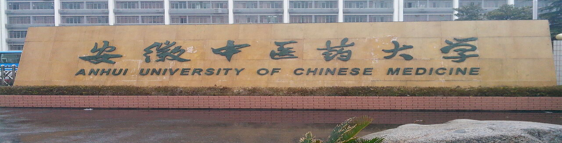 安徽中医药大学